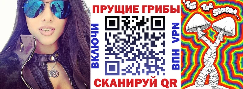 Купить закладки Куровское Псилоцибиновые грибы Psilocybine cubensis