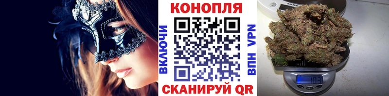 Марихуана план  Купить где  Куровское 